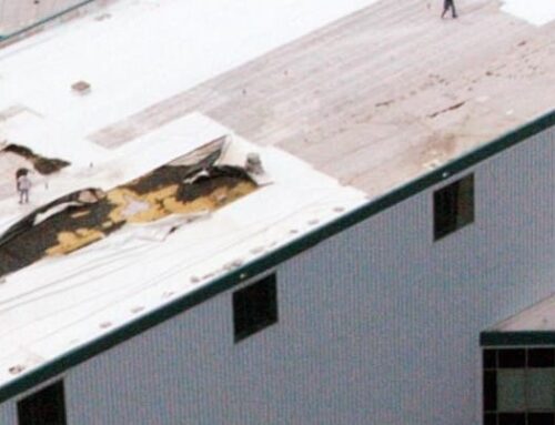 What Are the Risks of Ignoring Roof Damage After a Storm in Tyler?