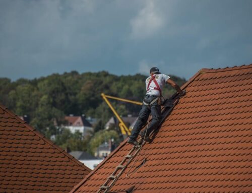 Why Roof Cleaning Is Essential for Commercial Roof Maintenance
